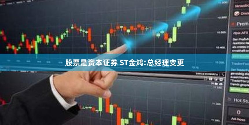 股票是资本证券 ST金鸿:总经理变更