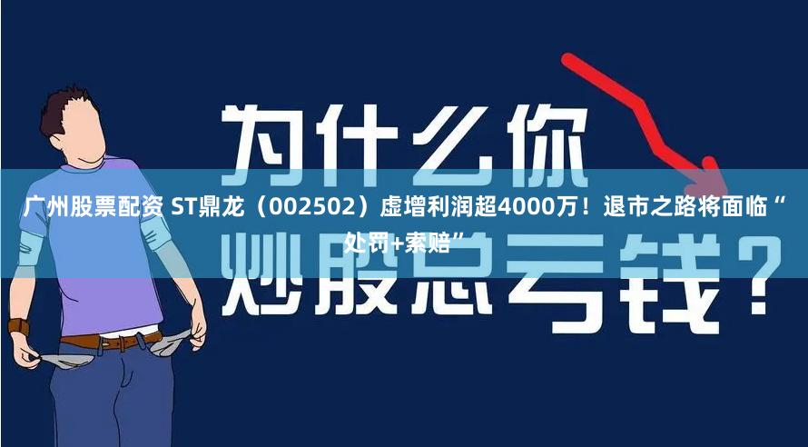 广州股票配资 ST鼎龙（002502）虚增利润超4000万！退市之路将面临“处罚+索赔”