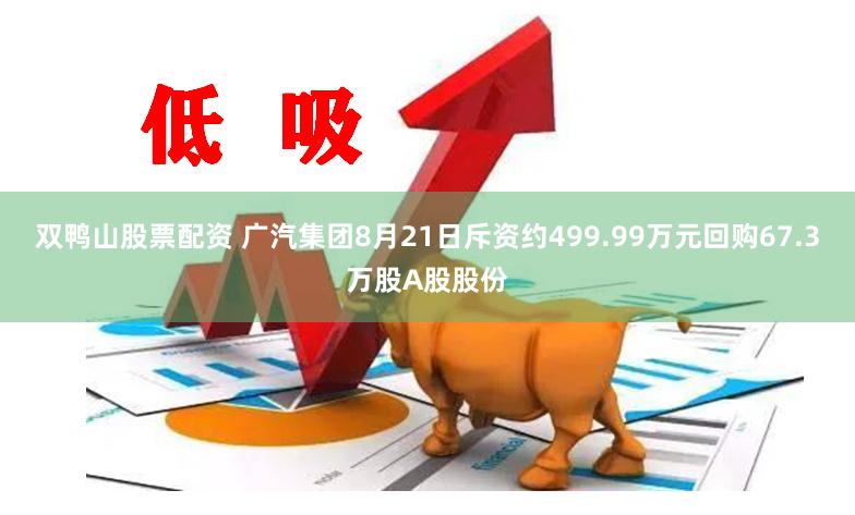 双鸭山股票配资 广汽集团8月21日斥资约499.99万元回购67.3万股A股股份