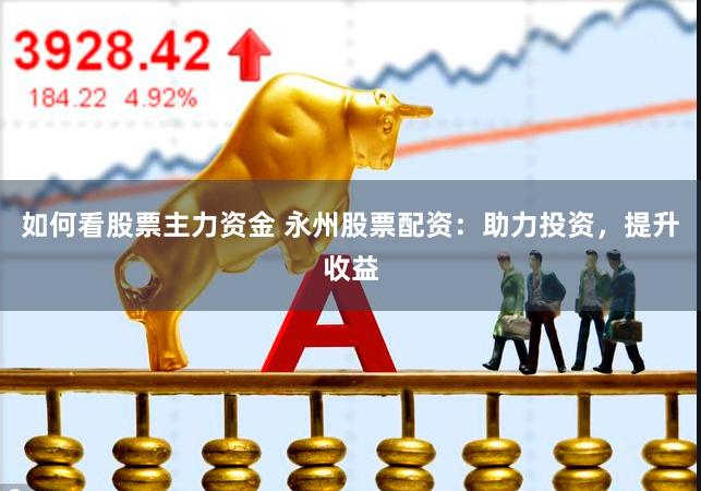 如何看股票主力资金 永州股票配资：助力投资，提升收益