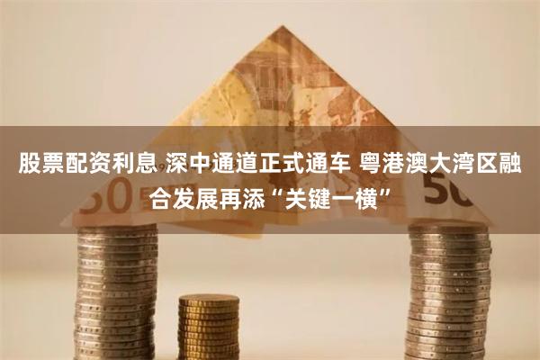 股票配资利息 深中通道正式通车 粤港澳大湾区融合发展再添“关键一横”