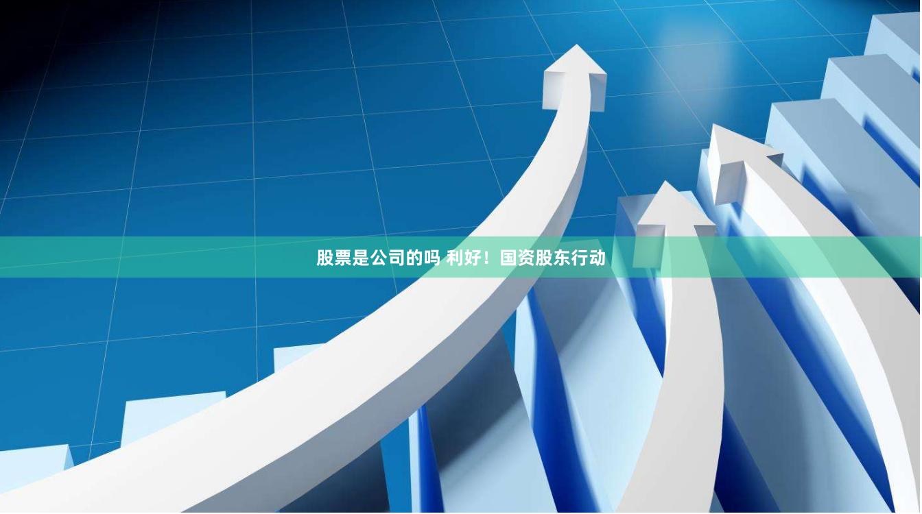 股票是公司的吗 利好！国资股东行动
