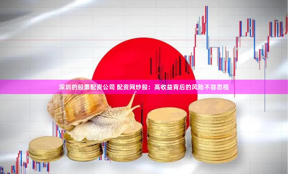 深圳的股票配资公司 配资网炒股：高收益背后的风险不容忽视