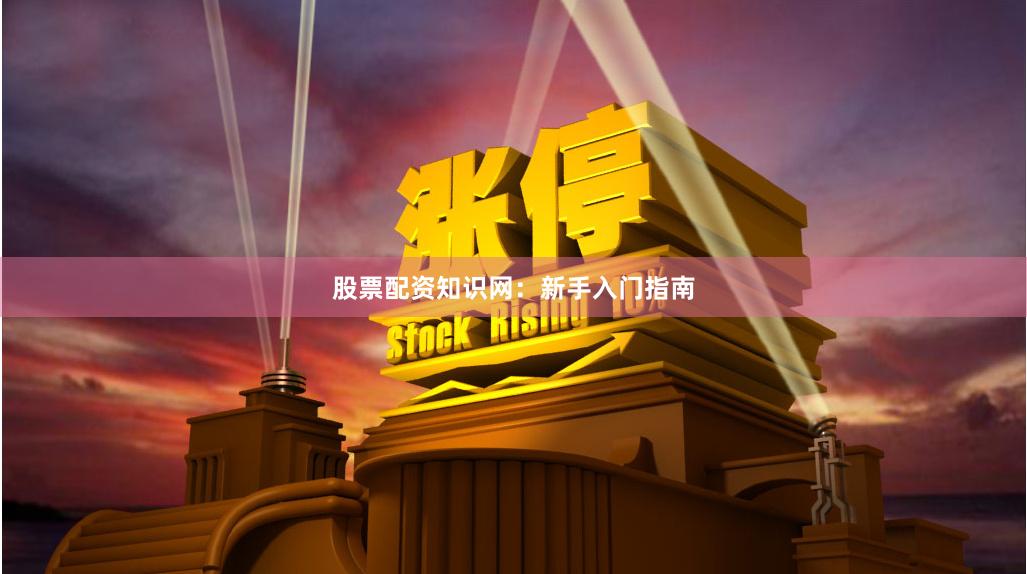 股票配资知识网：新手入门指南