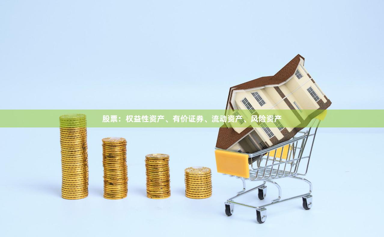 股票：权益性资产、有价证券、流动资产、风险资产