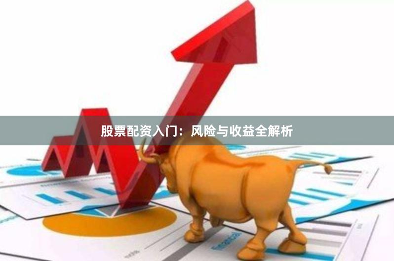 股票配资入门：风险与收益全解析