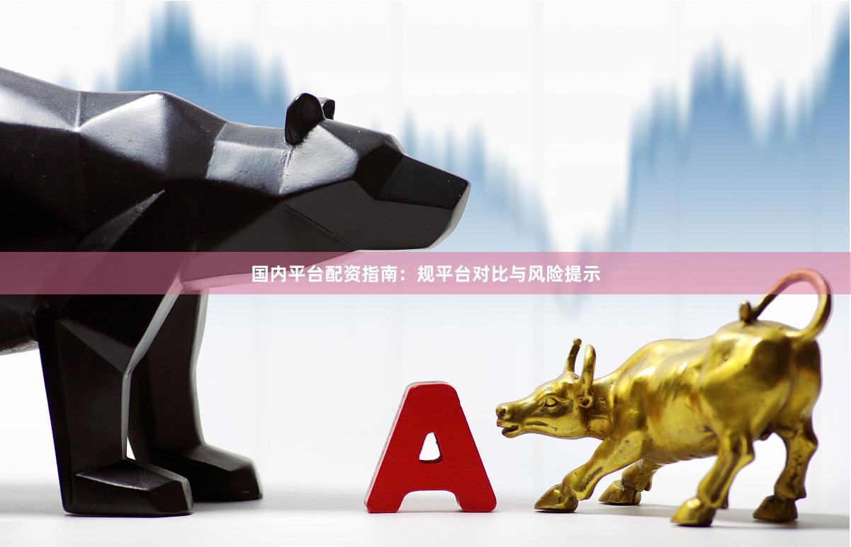 国内平台配资指南：规平台对比与风险提示