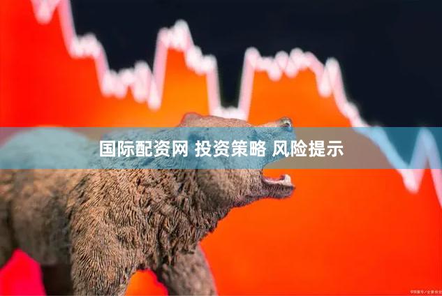 国际配资网 投资策略 风险提示