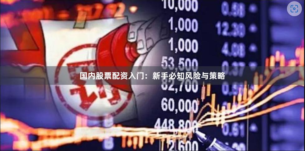 国内股票配资入门：新手必知风险与策略