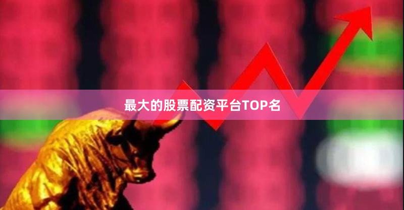 最大的股票配资平台TOP名