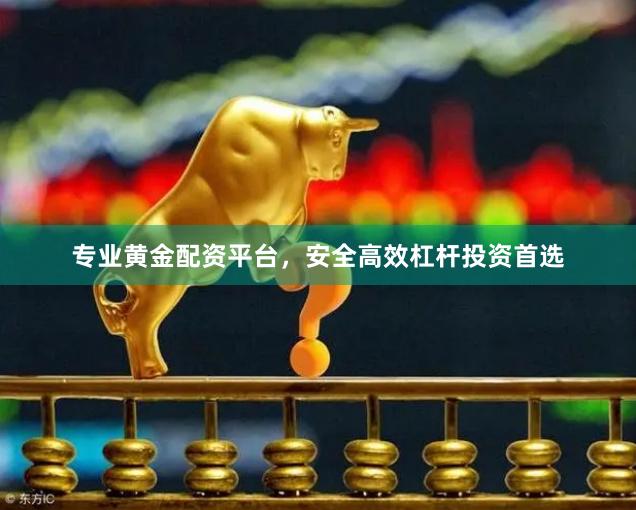 专业黄金配资平台，安全高效杠杆投资首选